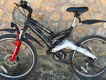 Bicicletta 24