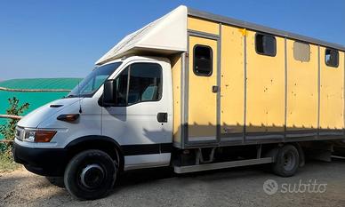 Iveco trasporto cavalli