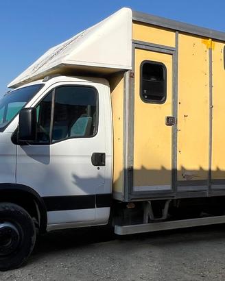Iveco trasporto cavalli