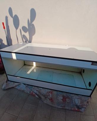 teca per rettili