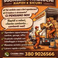 Trasporti/Traslochi/Sgomberi