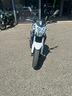 benelli-bn-302-bn