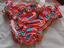 Immagine 5