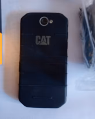  CAT S 31 