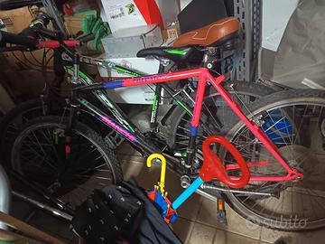 mtb Bianchi predator 2