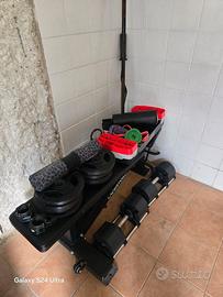 Articoli palestra Lacertosus