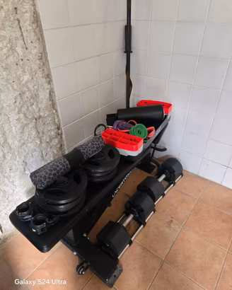 Articoli palestra Lacertosus