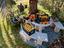 Immagine 12