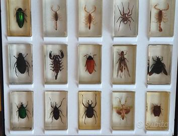 Collezione De Agostini in resina