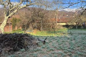 Appartamento Spazioso a Netro con Giardino Privato