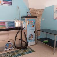 Macchinario Lavaggio self service per cani e gatti