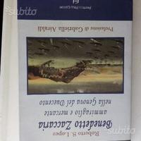 Benedetto Zaccaria, ammiraglio e mercante