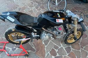Minigp VMC 12 pollici