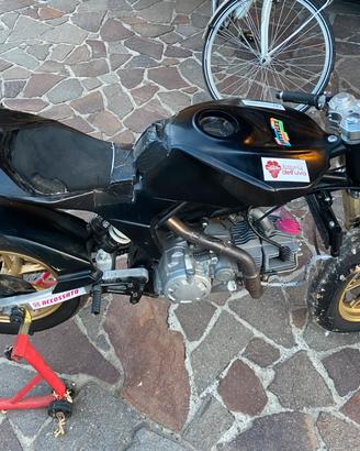 Minigp VMC 12 pollici