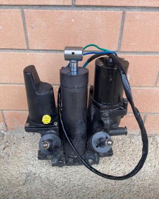 Trim mercury revisionato