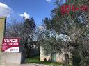 terreno-agricolo-gallipoli-cod-rif-3121450vrg-