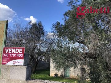 Terreno Agricolo Gallipoli [Cod. rif 3121450VRG]