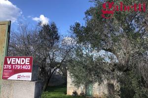 Terreno Agricolo Gallipoli [Cod. rif 3121450VRG]