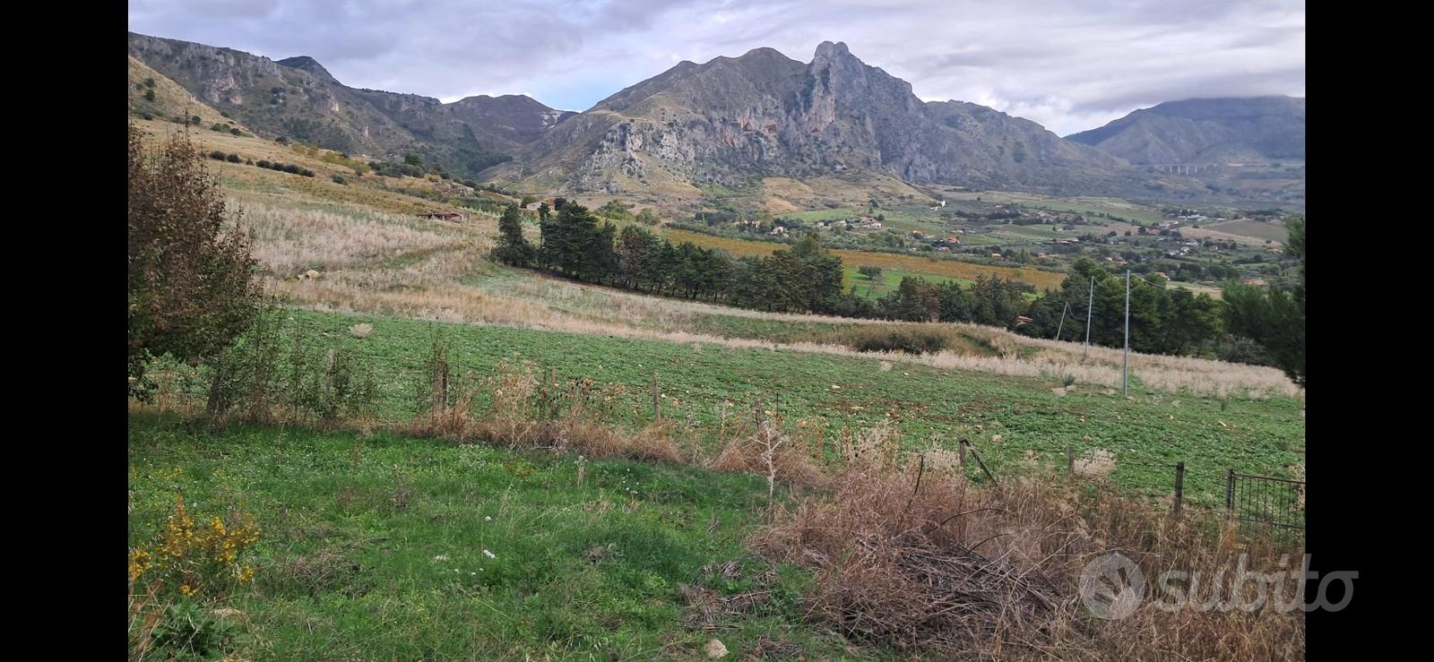 Casa in campagna con 4 ettari di terreno - Altro
