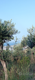 Vista mare