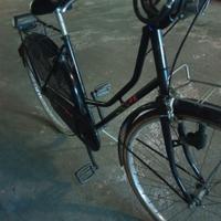 Bici da donna