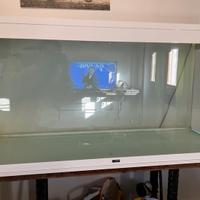 ACQUARIO