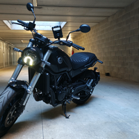 Benelli Leoncino 500