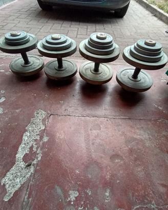 Set 4 Manubri Pesistica Gommati Modulari 60 Kg.