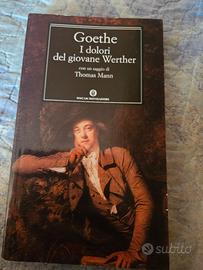 goethe I dolori del giovane Werther