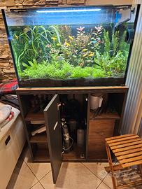 acquario 