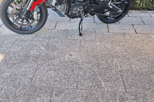 Ducati Scrambler icon 2017