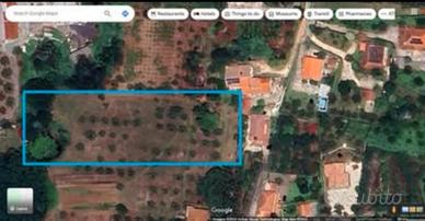 Terreno edificabile con uliveto