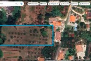 Terreno edificabile con uliveto