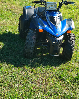 Quad 125