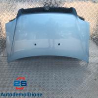COFANO ANTERIORE FIAT DOBLO (00-05)