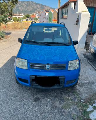 Fiat Panda 1.2 Benzina 4x4 (2006) Climbing- Blu