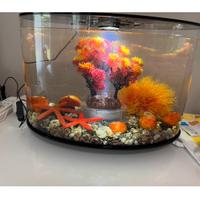 Acquario biorp 15 litri