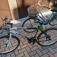 bicicletta freius sportiva e Breda 