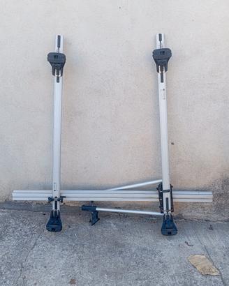 portapacchi con portabici 