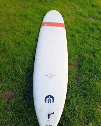 Longboard Bic 9'0''