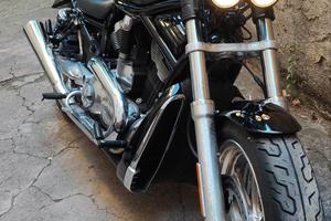Harley Davidson V Rod 2005
