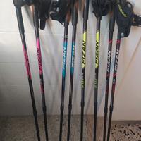 Bastoncini Nordic Walking Fizan