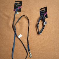 guinzaglio + collare per cane
