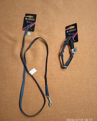 guinzaglio + collare per cane