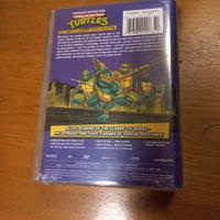 Box 10 dvd serie completa  anni '90 Ninja Turtle