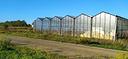 azienda-agricolo-con-serra-in-alluminio-vetro