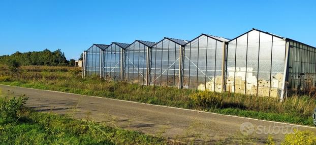 Azienda agricolo con serra in alluminio-vetro