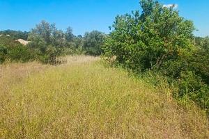 Terreno rustico con annesso deposito