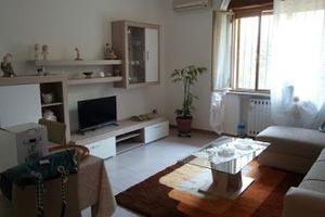 Camera in appartamento per studenti o impiegati