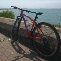 Bici TORPADO MARS 29 ER Mountain bike MTB